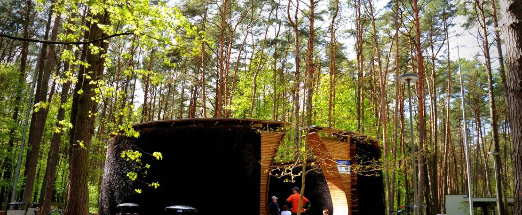 Natur Camp Birstonas