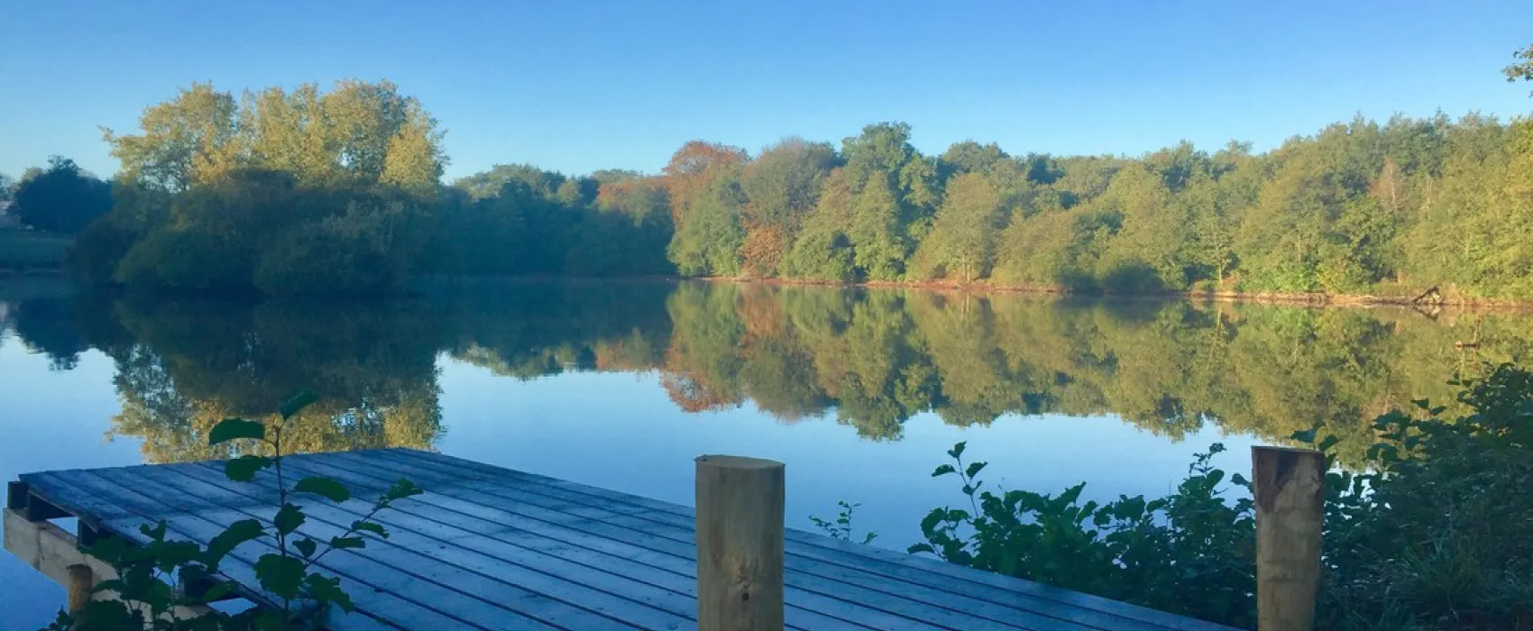 Yelloh! Village Château la Forêt
