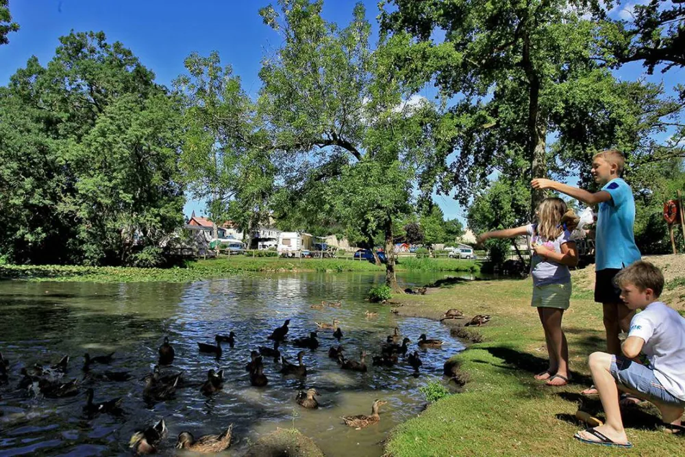 Castel Domaine du Château de l'Epervière