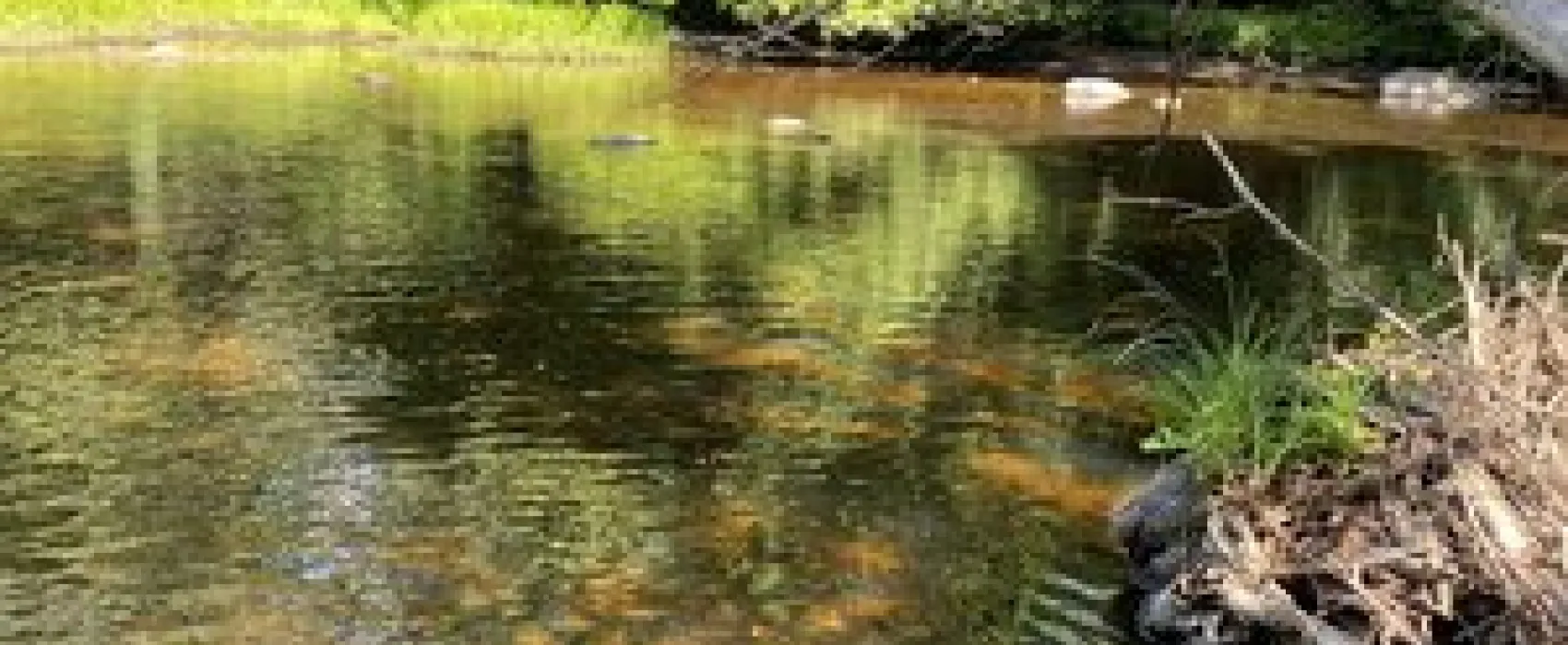 Nickerson Park Campground