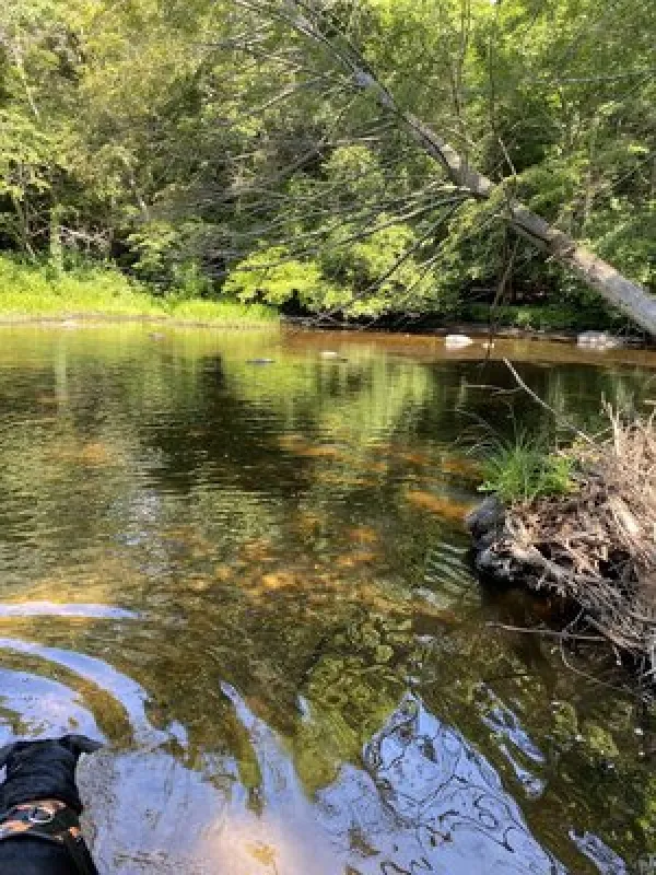 Nickerson Park Campground