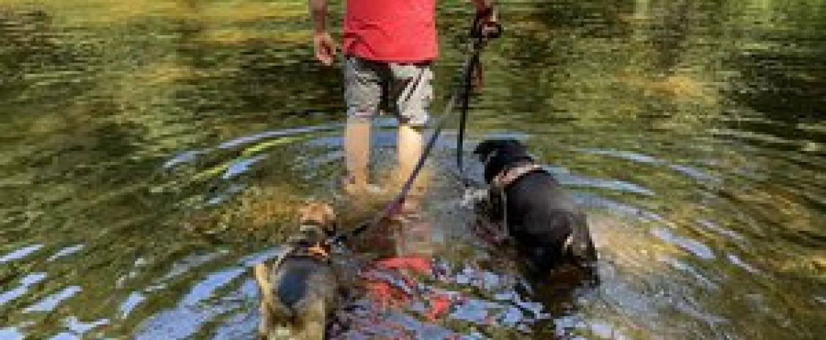 Nickerson Park Campground