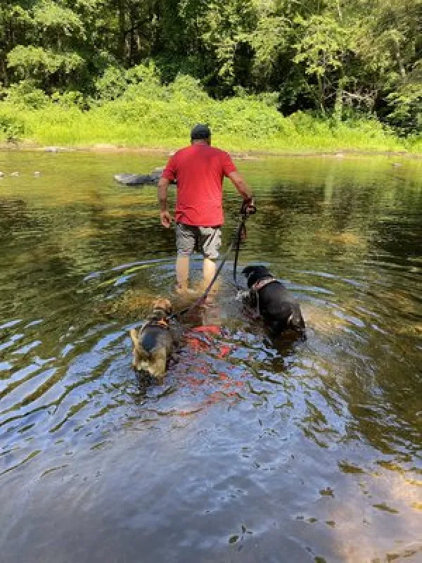 Nickerson Park Campground