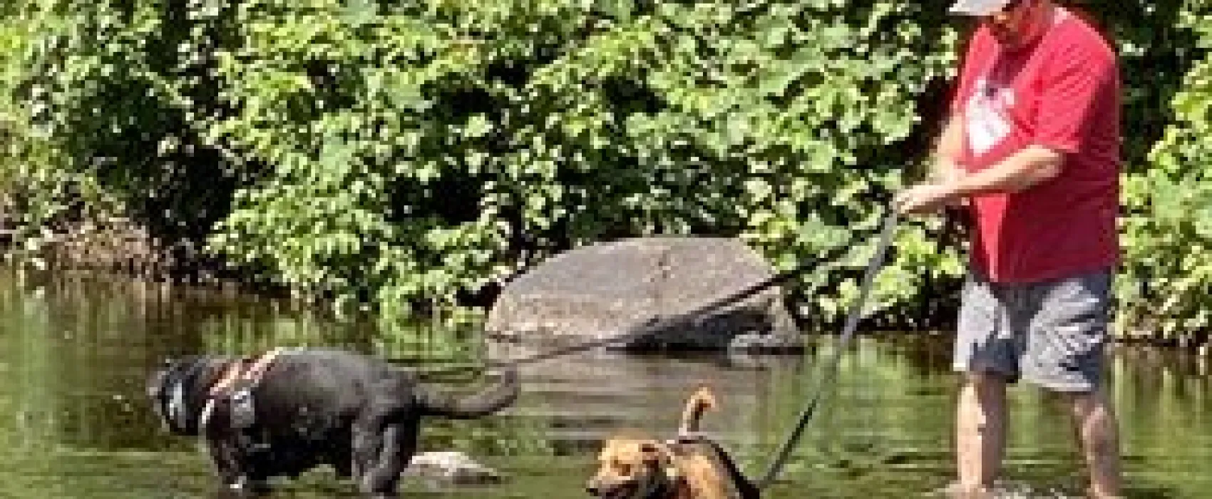 Nickerson Park Campground