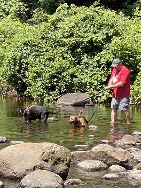 Nickerson Park Campground