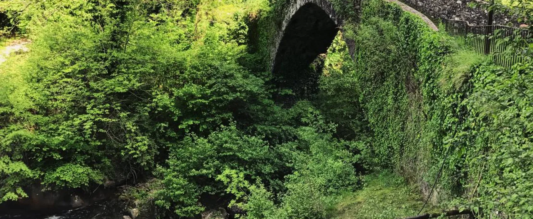 Wild Camping Paladini