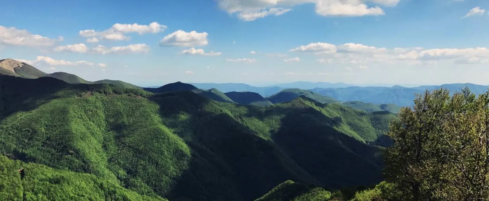 Wild Camping Paladini