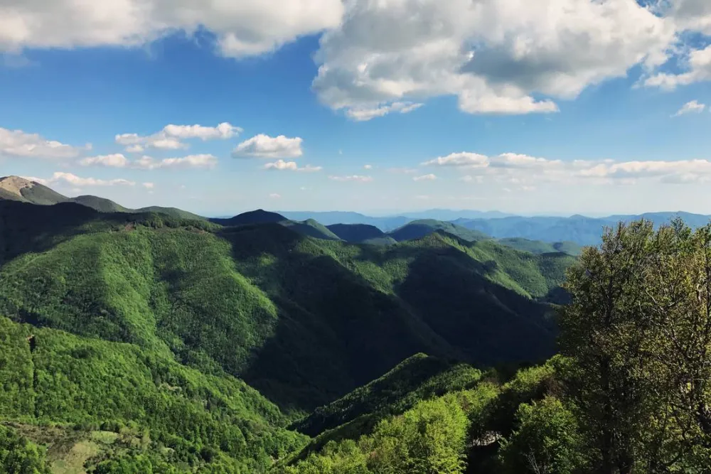 Wild Camping Paladini