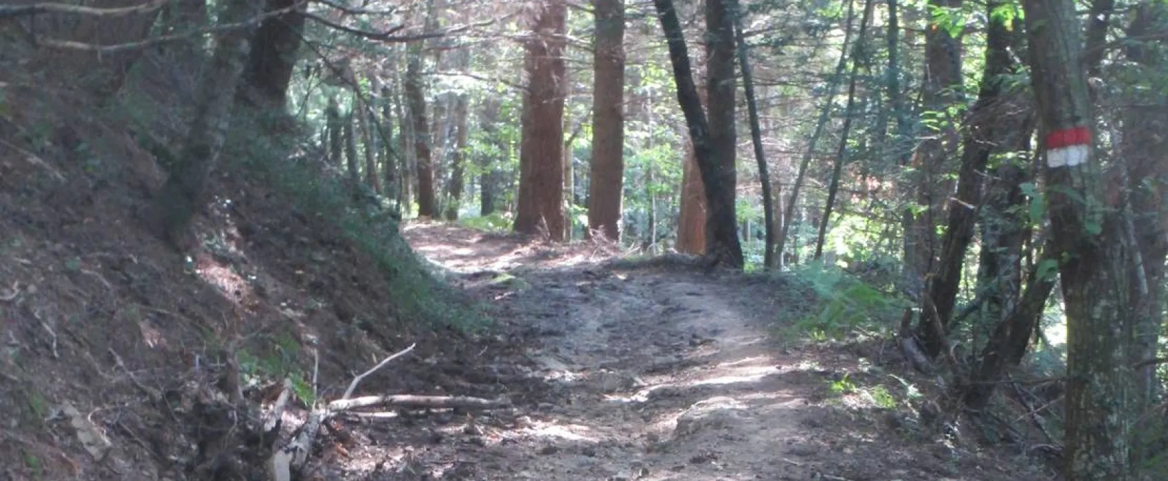 Wild Camping Paladini