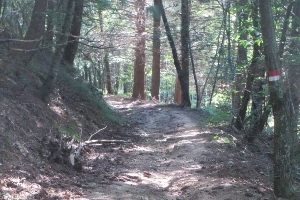 Wild Camping Paladini