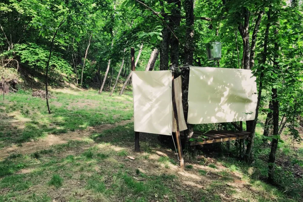 Wild Camping Paladini