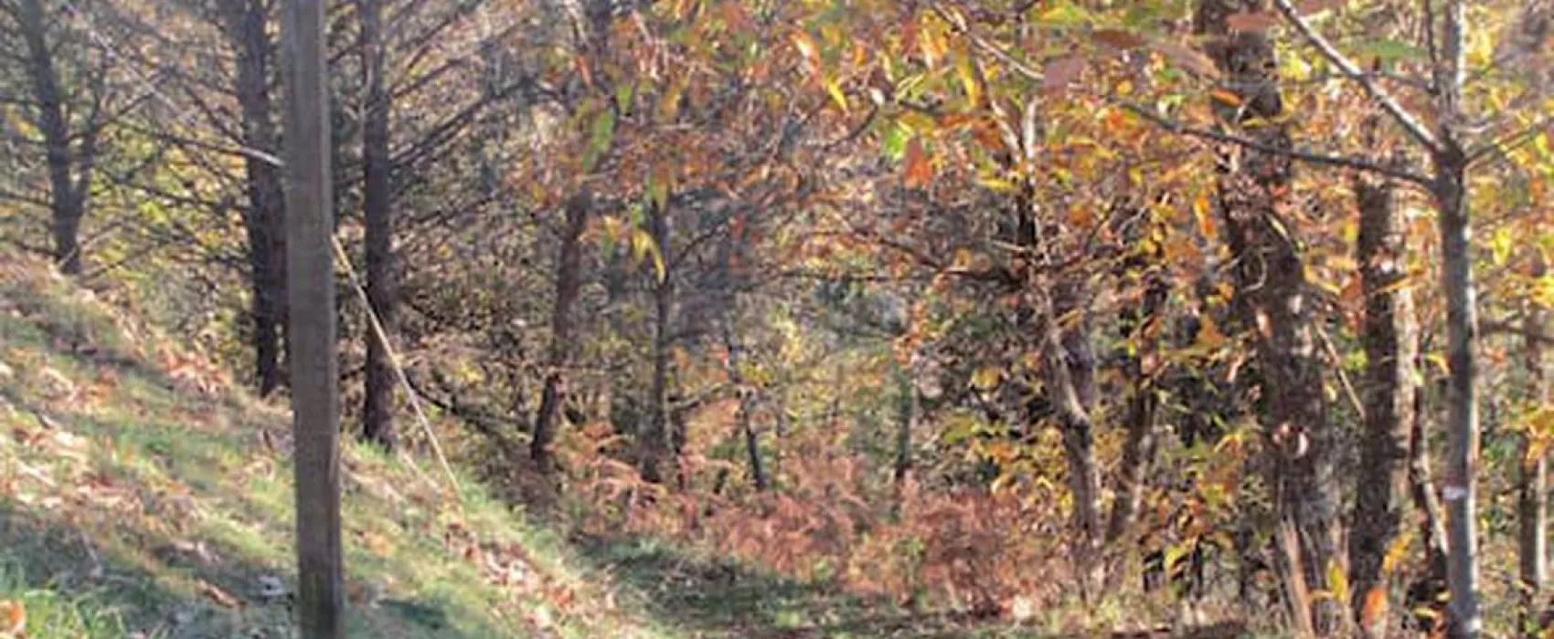 Wild Camping Paladini