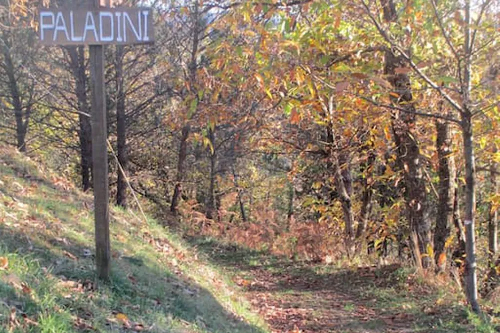 Wild Camping Paladini