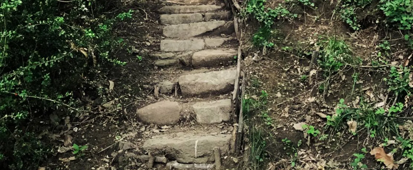 Wild Camping Paladini