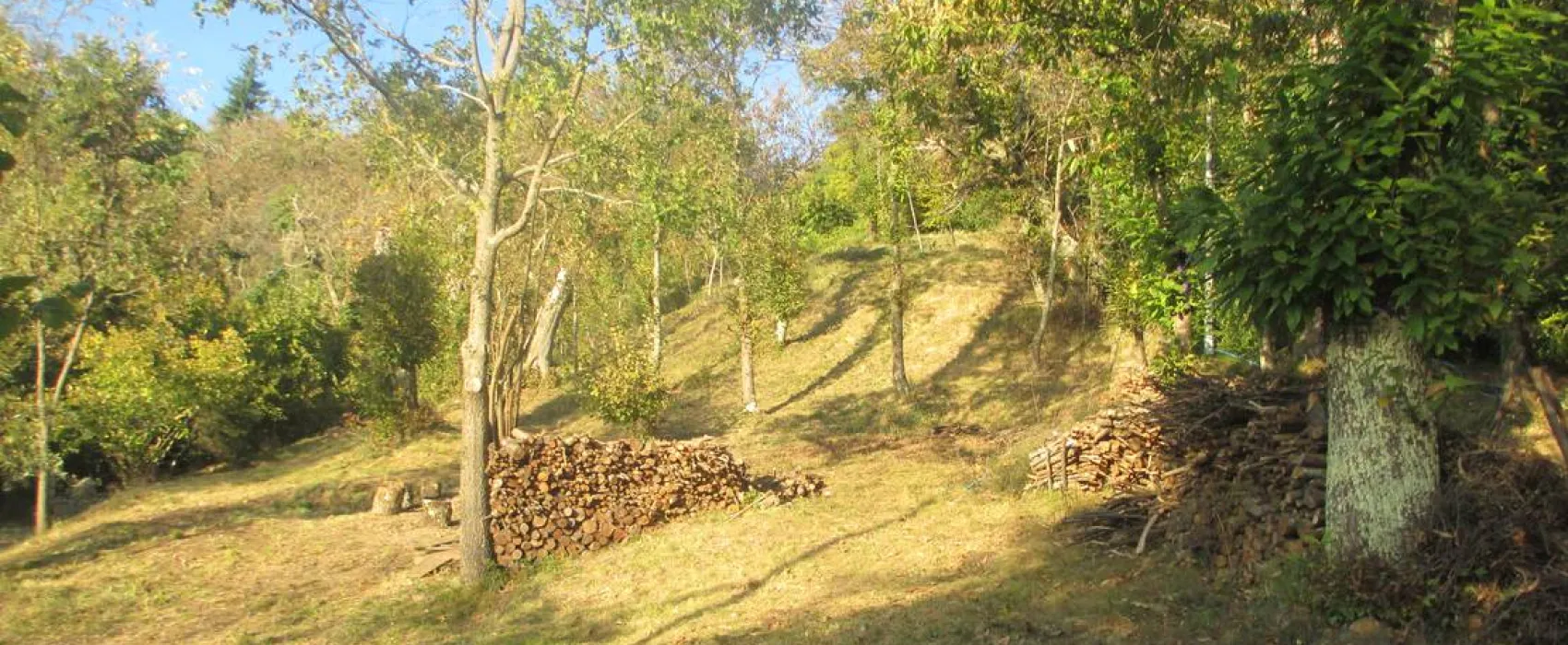 Wild Camping Paladini