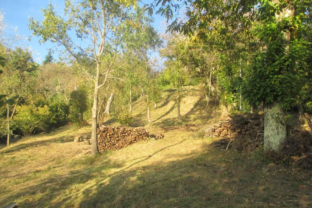 Wild Camping Paladini