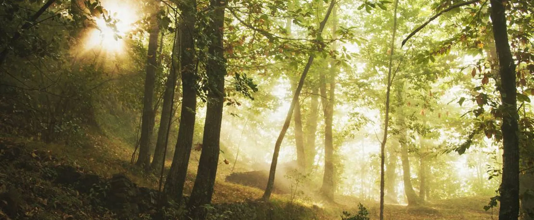 Wild Camping Paladini