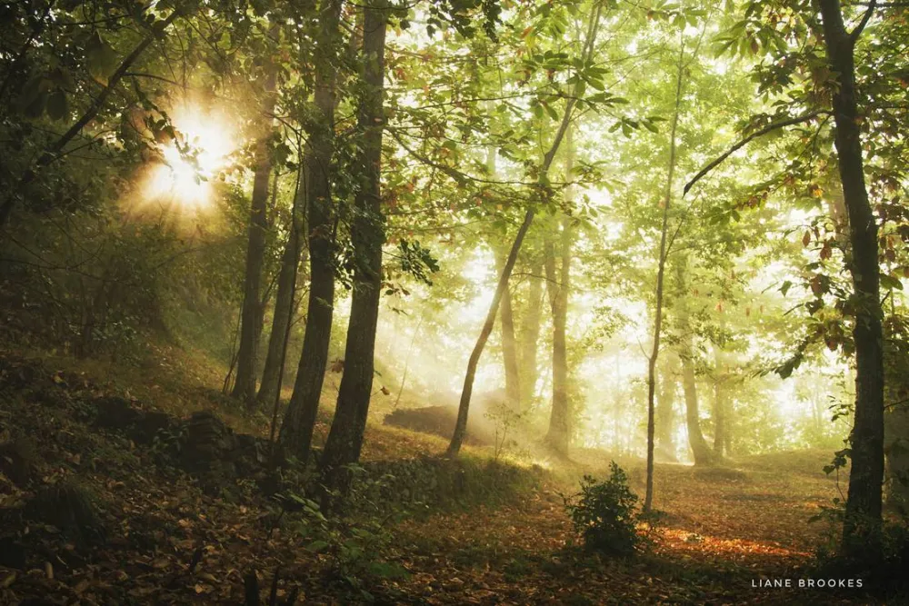 Wild Camping Paladini