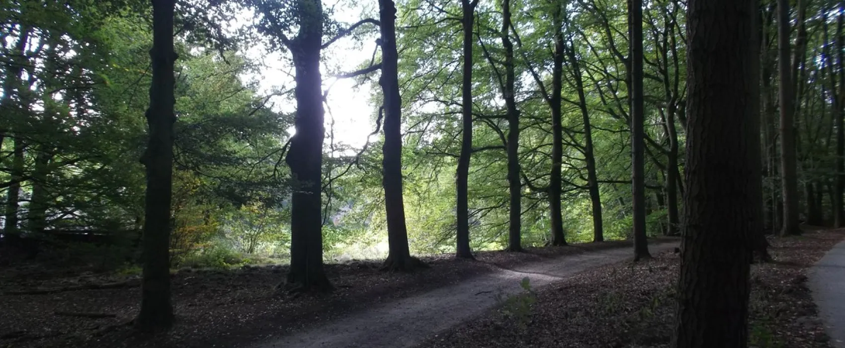 Molecaten Park Landgoed Molecaten