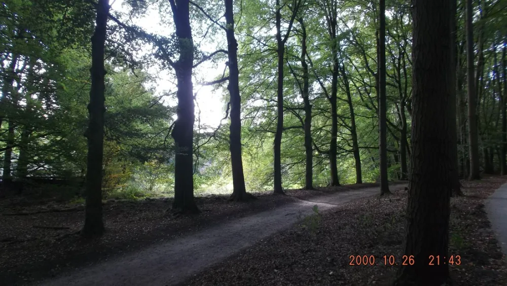 Molecaten Park Landgoed Molecaten