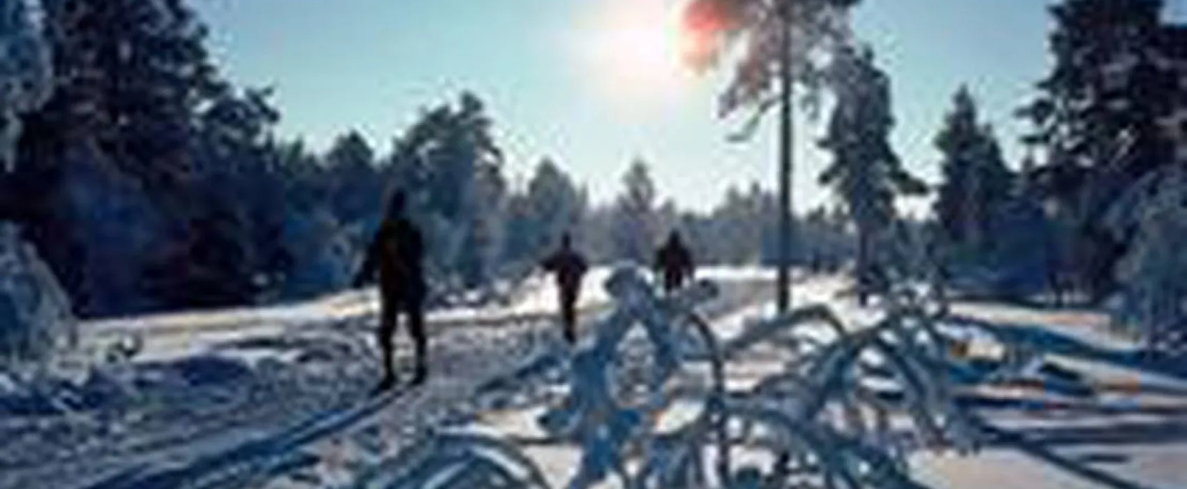 Viubråtan Feriesenter