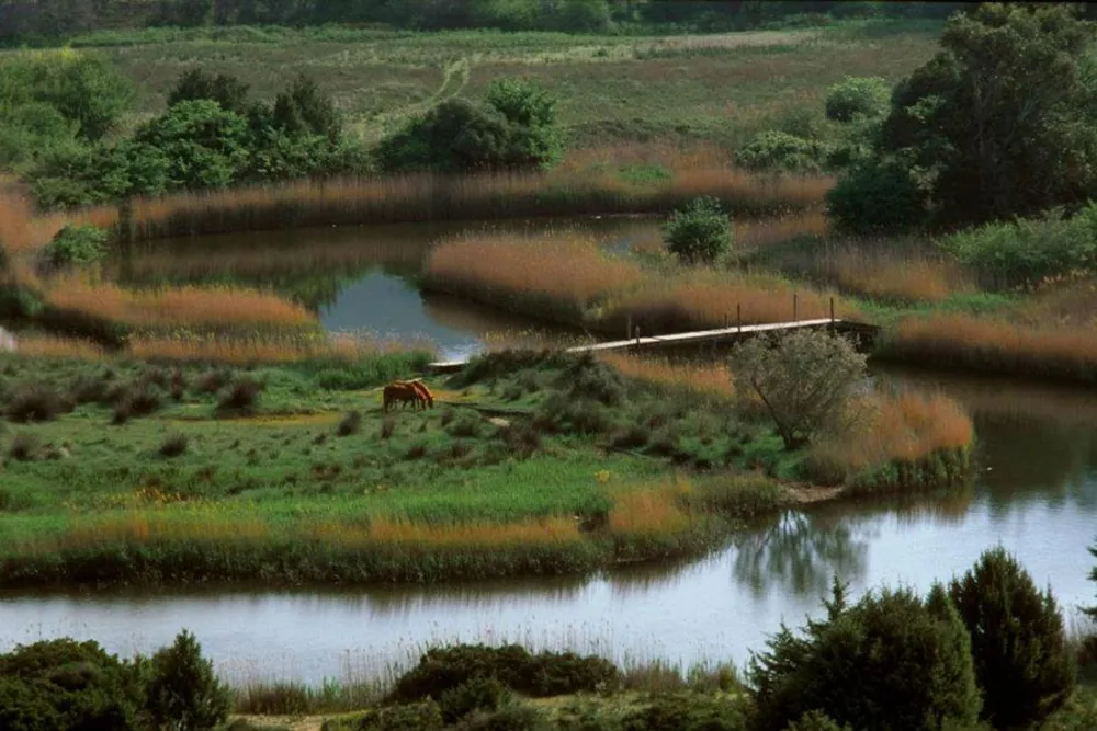 Village De L'ostriconi