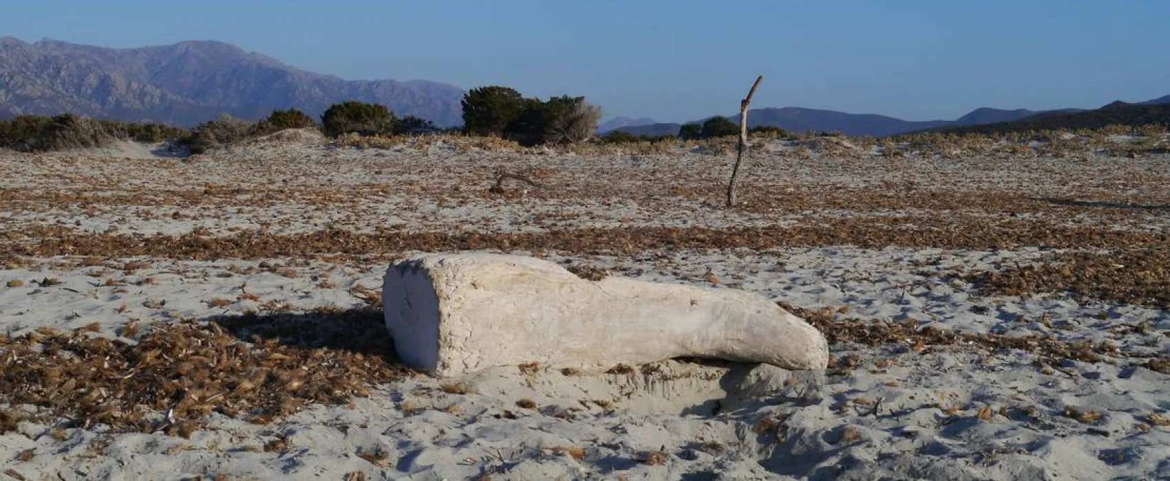 Village De L'ostriconi