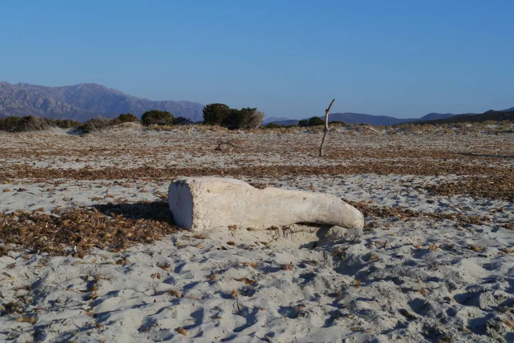 Village De L'ostriconi