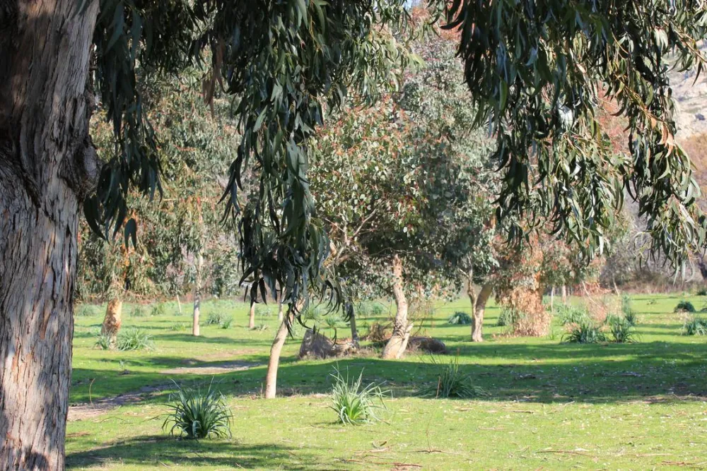 Village De L'ostriconi