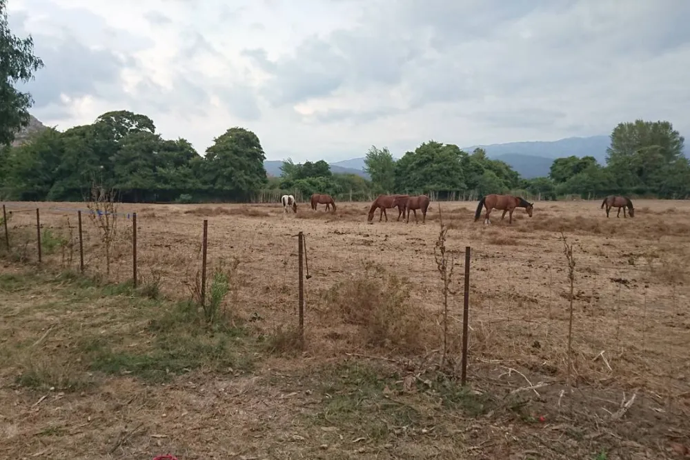 Village De L'ostriconi