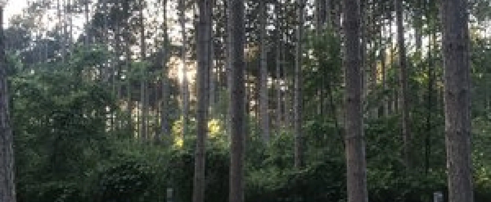 Dells Timberland Camping Resort