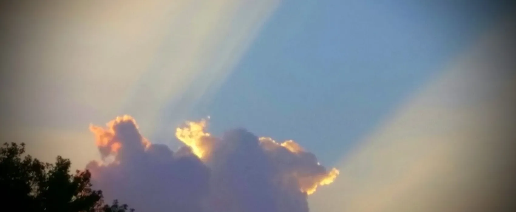 Dells Timberland Camping Resort