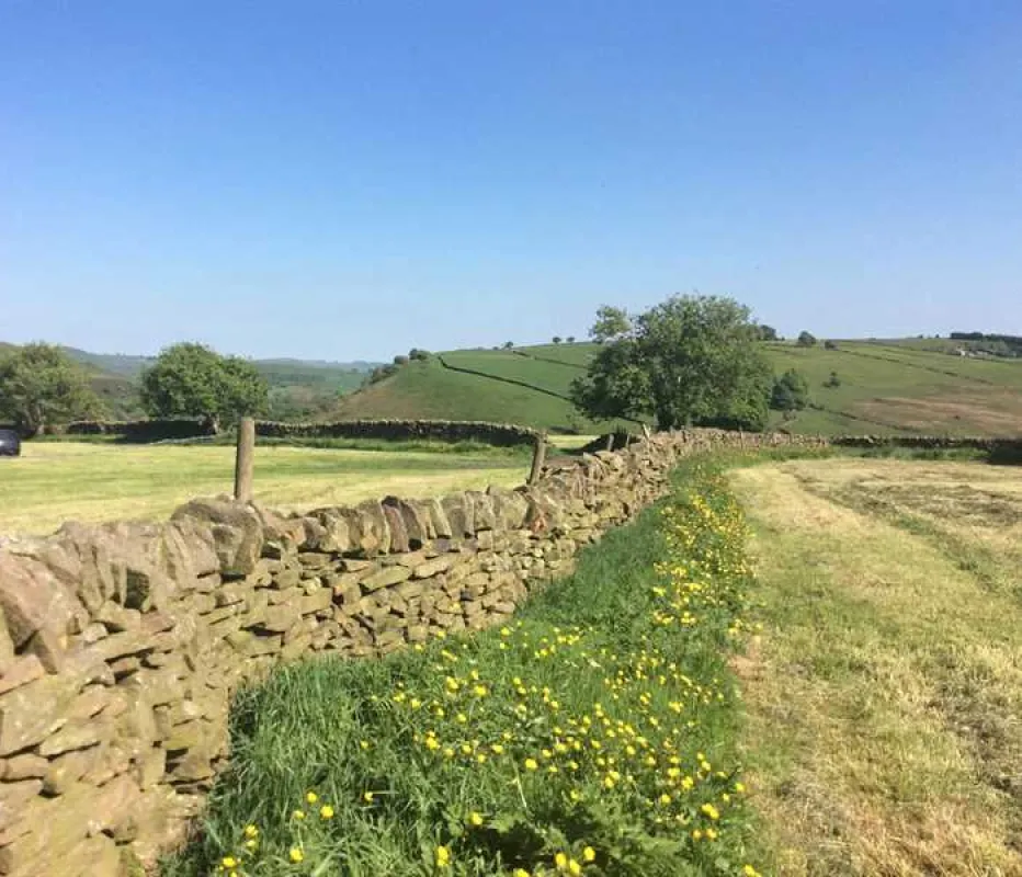 Peak Glamping Hideaway