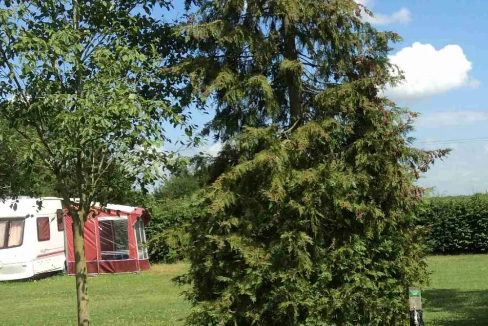 Camping Hamperden End Caravan Site