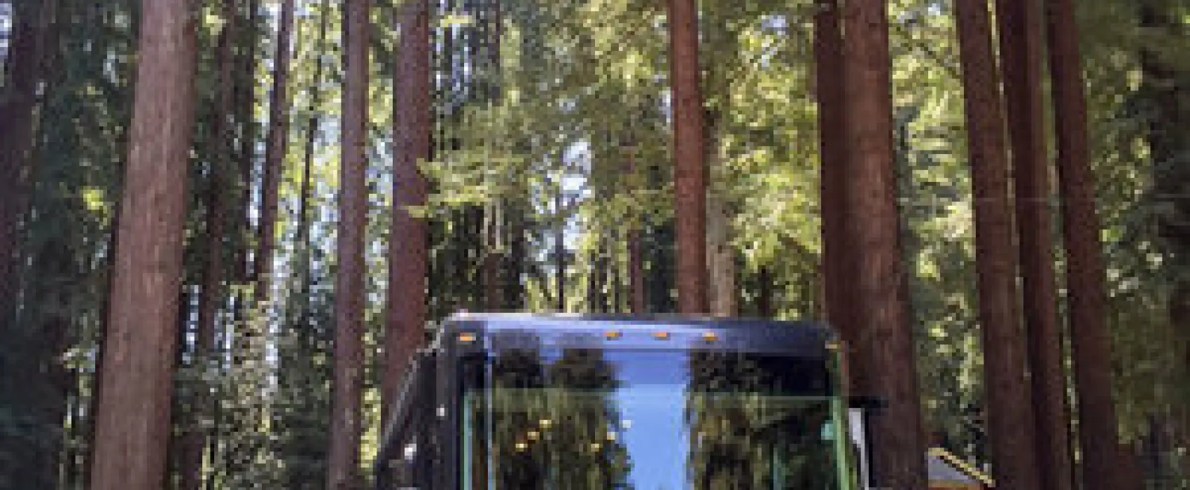 Santa Cruz Ranch RV Resort