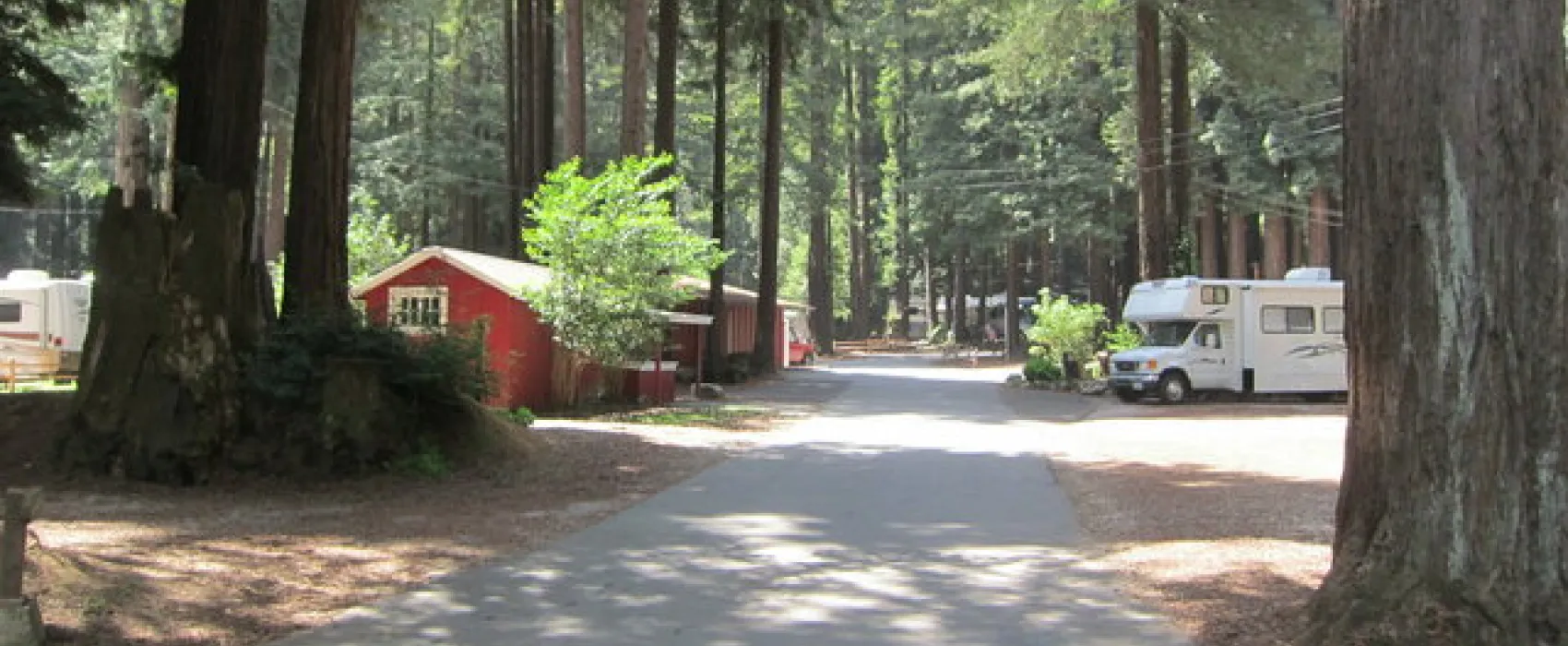 Santa Cruz Ranch RV Resort