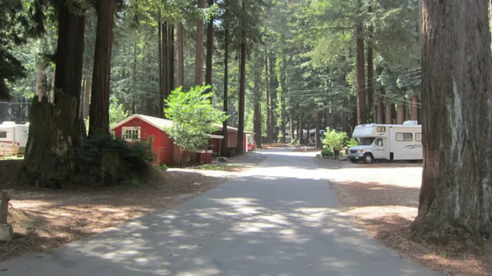 Santa Cruz Ranch RV Resort