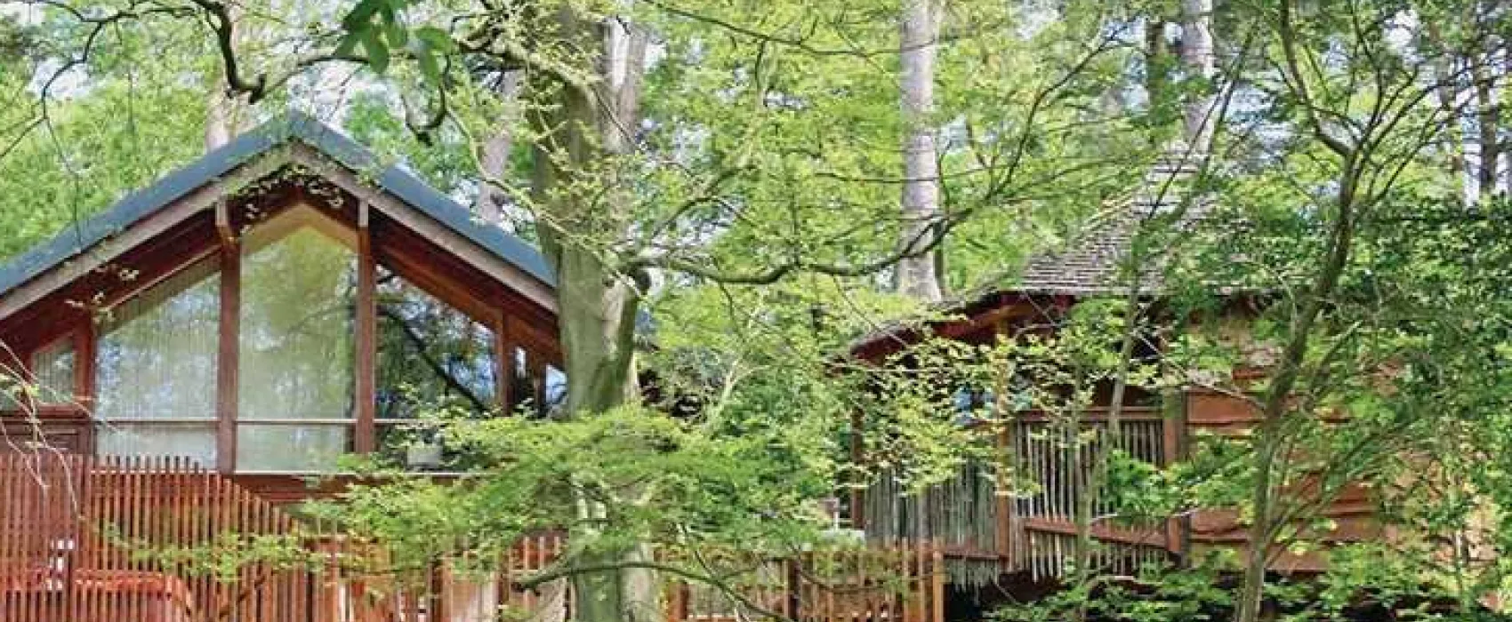 Forest Holidays Keldy