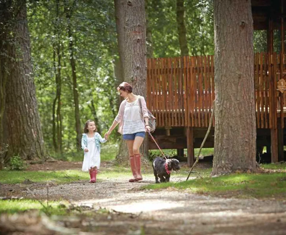 Forest Holidays Keldy