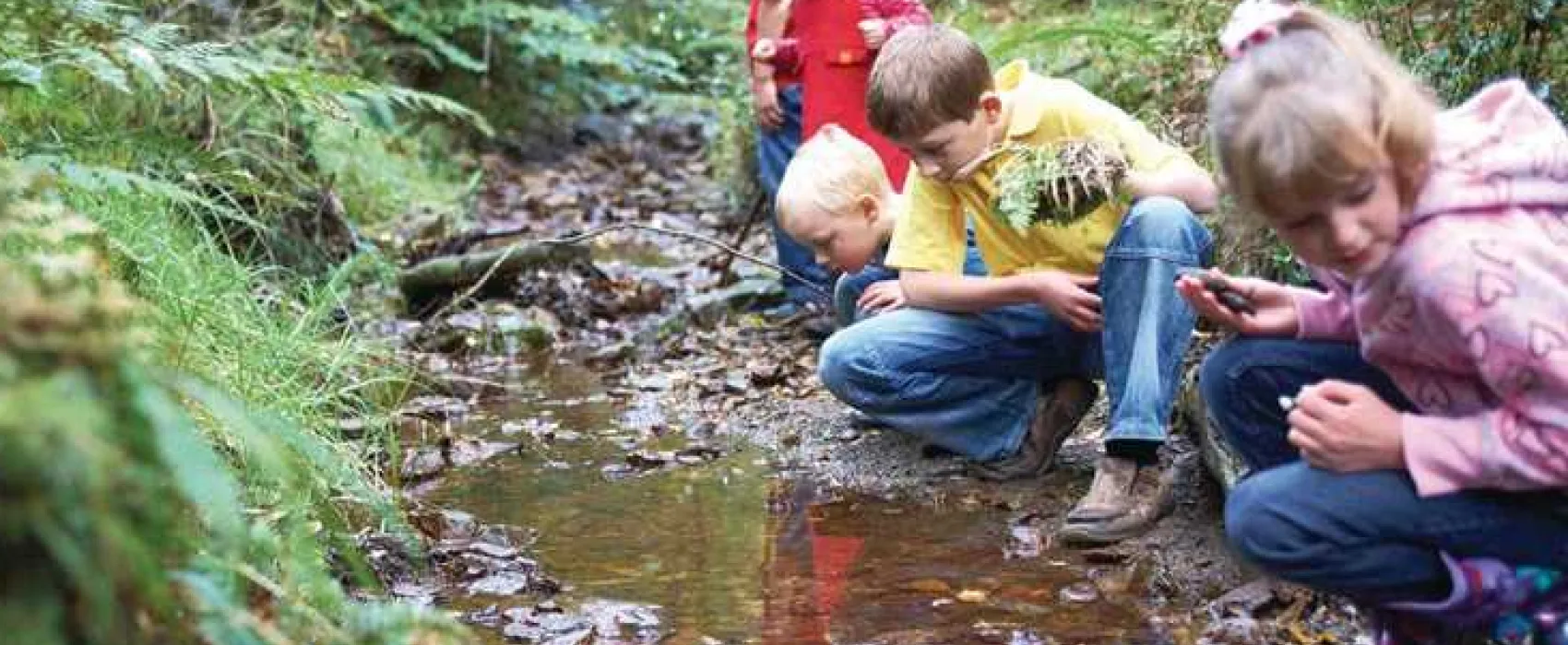 Forest Holidays Keldy