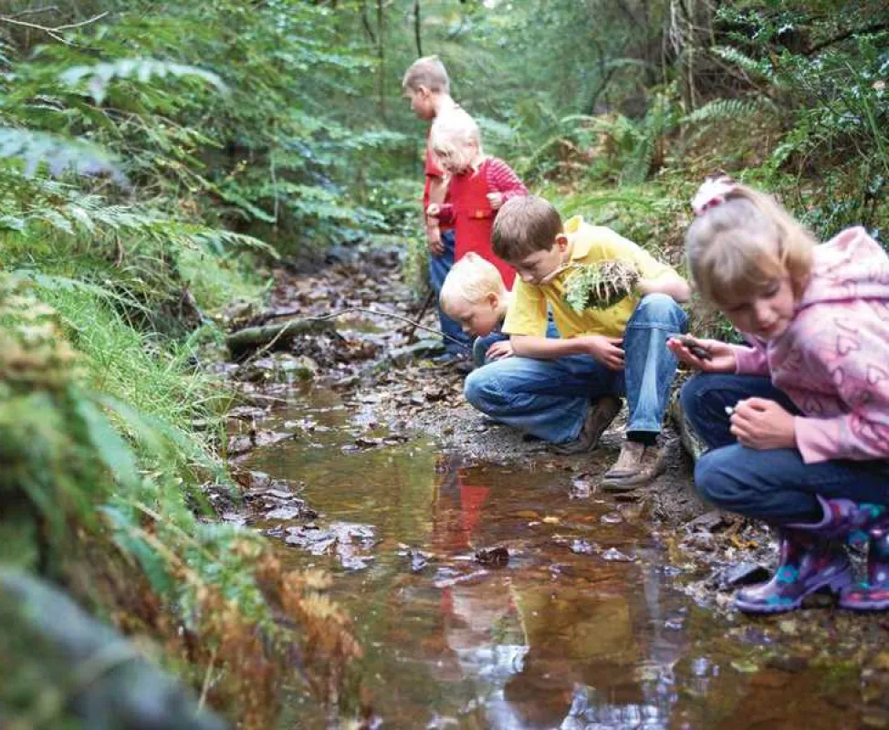 Forest Holidays Keldy