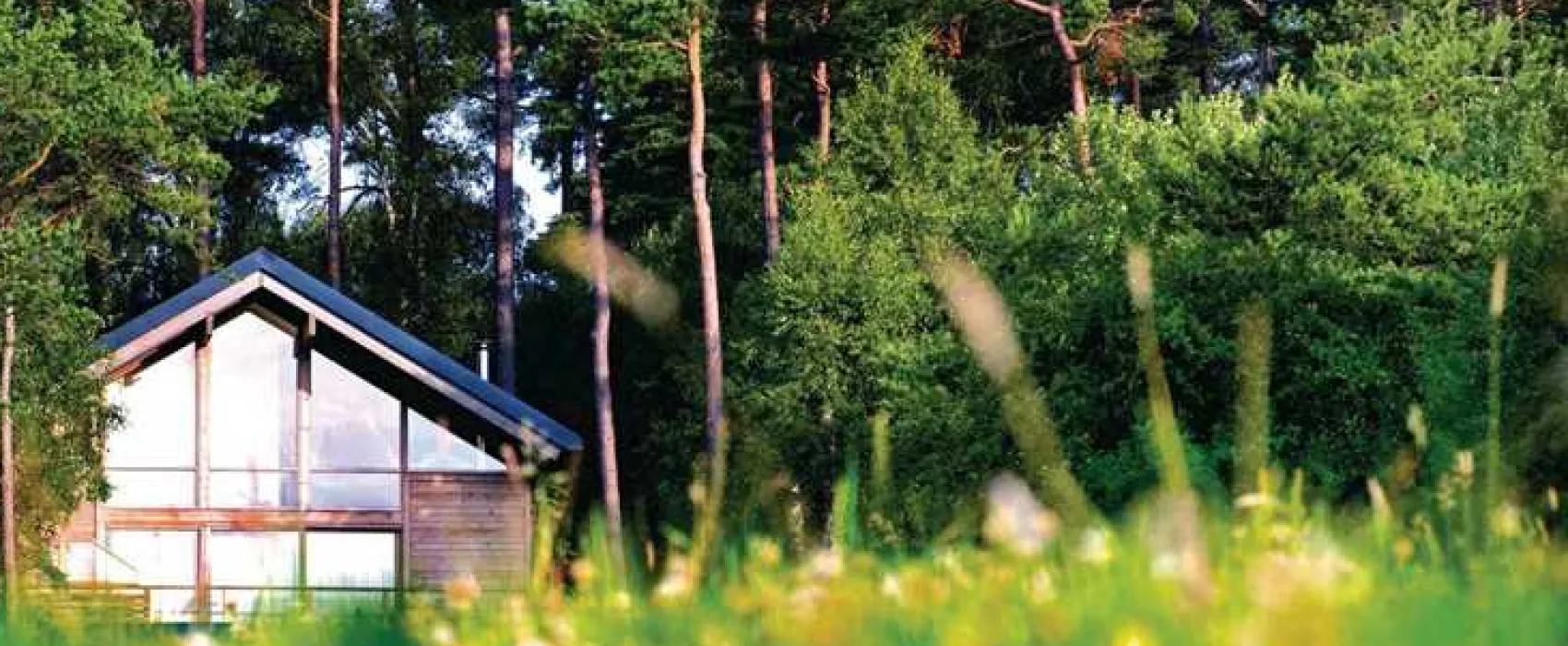 Forest Holidays Keldy