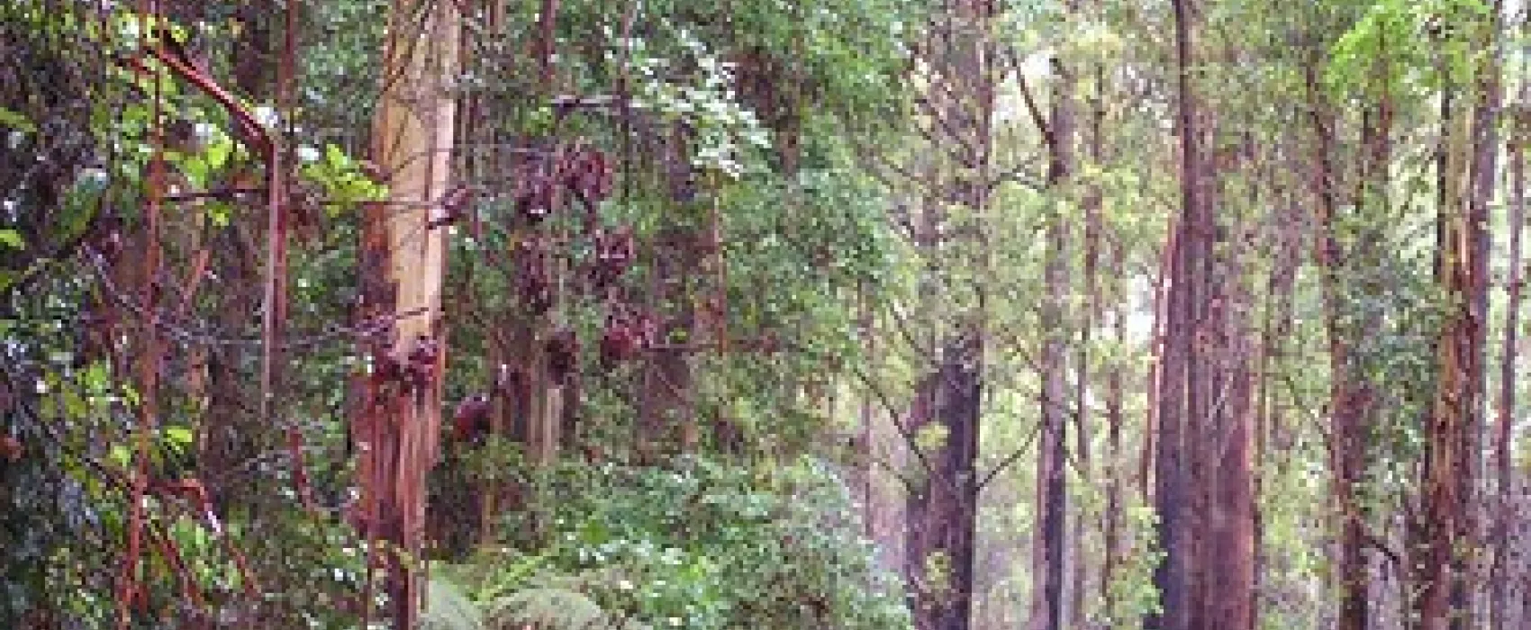 Summer Falls (Walkers Camp) Campground