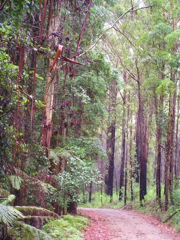 Summer Falls (Walkers Camp) Campground