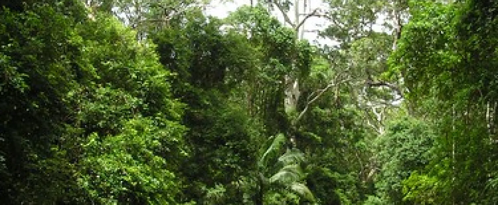 Summer Falls (Walkers Camp) Campground