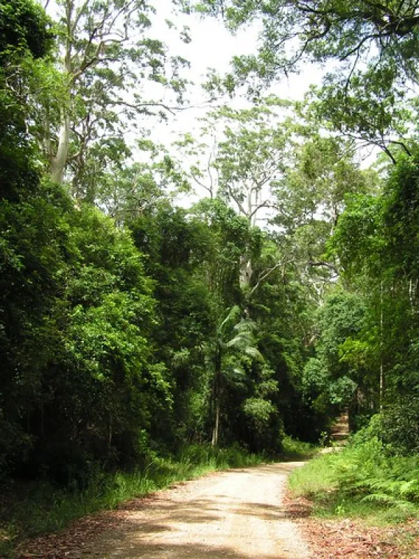 Summer Falls (Walkers Camp) Campground