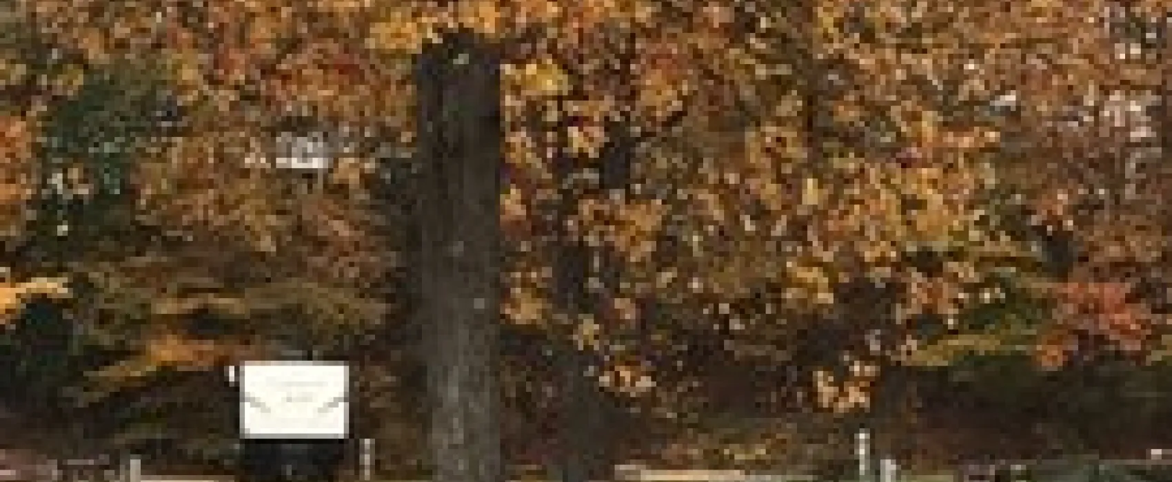 Abel Mountain Campground