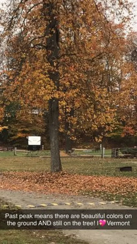 Abel Mountain Campground