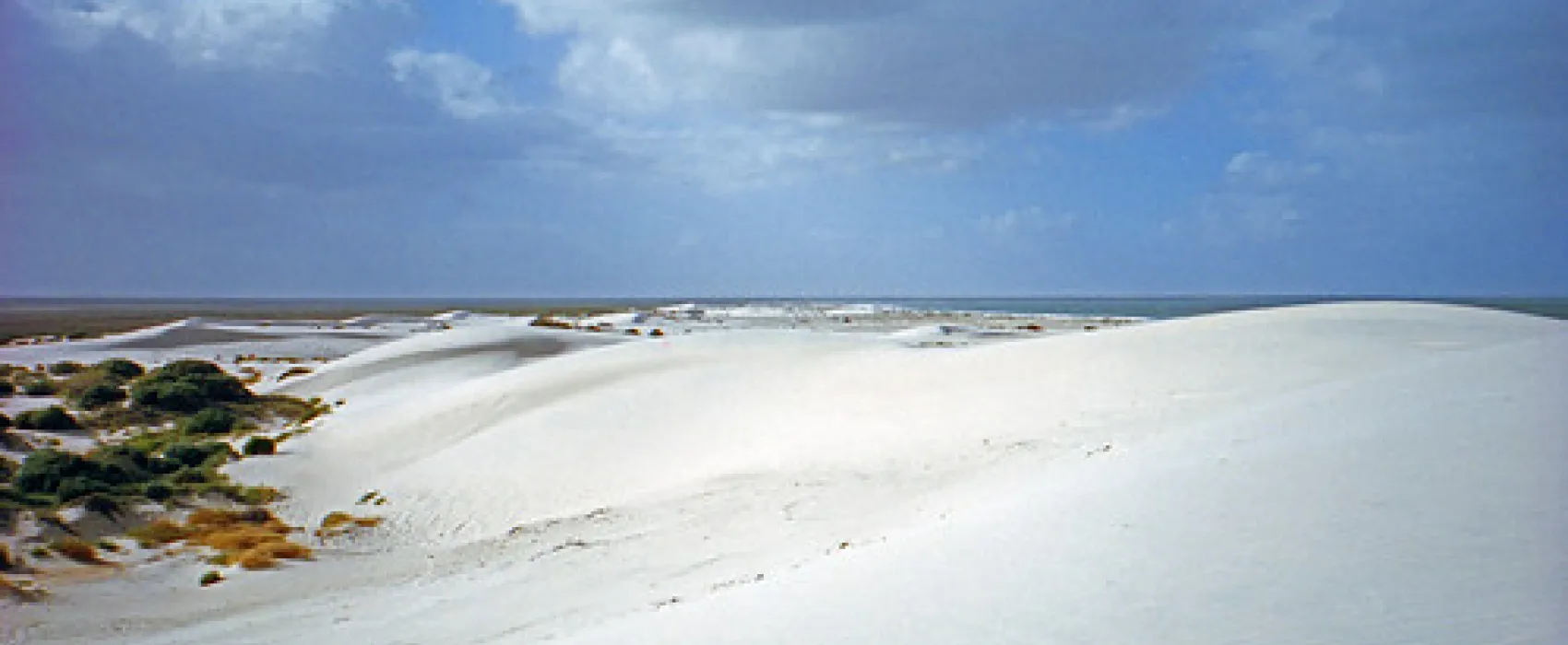 Pt Gibbon Beach Camp Campground