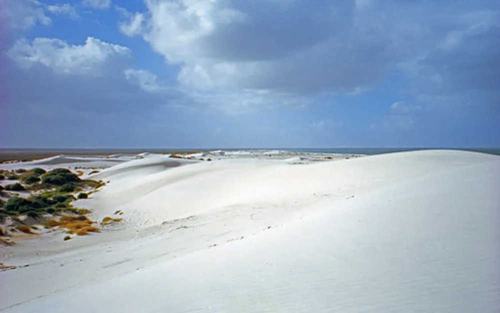 Pt Gibbon Beach Camp Campground